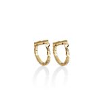 Mesmera 14K Altın Kaplama Halka Küpe resmi